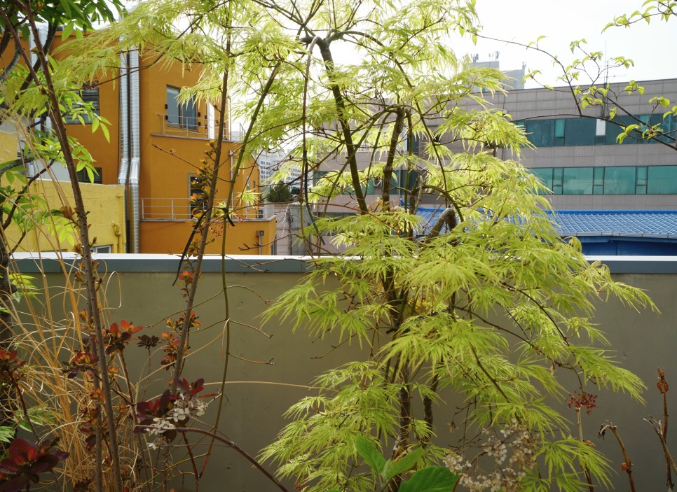 SE 6339c184 955f 4f17 a553 dcbd47cce2ab