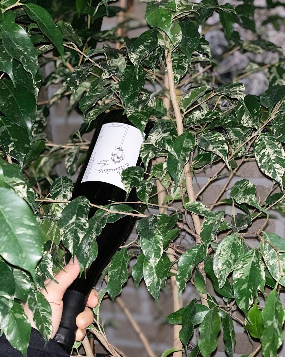 %EC%9A%A9%EA%B8%B0 %EC%99%80%EC%9D%B81