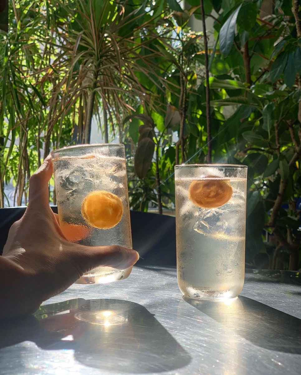 %EC%9A%A9%EA%B8%B0 %ED%95%98%EC%9D%B4%EB%B3%BC