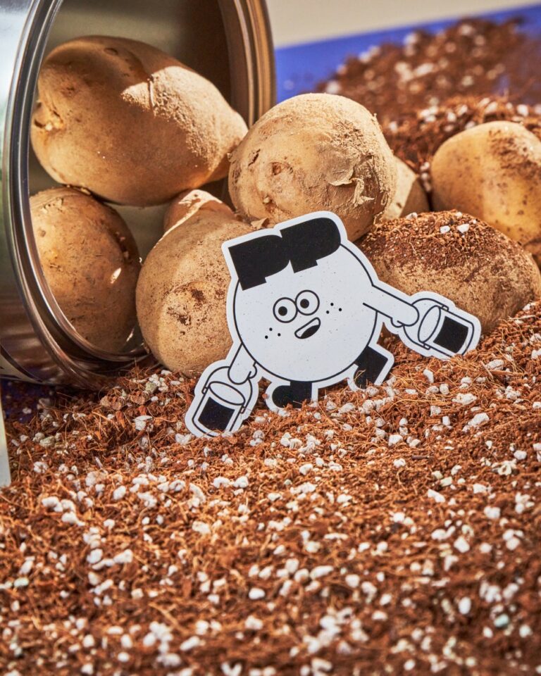 감자에 진심인 이들이 만든 공간, 감자유원지 ①