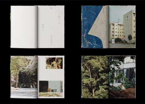 %EA%B3%A0%EC%96%91%EC%9D%B4%EB%93%A4%EC%9D%98%EC%95%84%ED%8C%8C%ED%8A%B8005