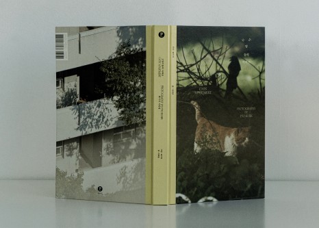 %EA%B3%A0%EC%96%91%EC%9D%B4%EB%93%A4%EC%9D%98%EC%95%84%ED%8C%8C%ED%8A%B8 %ED%91%9C%EC%A7%80