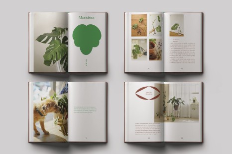 %EC%B7%A8%EB%AF%B8%EB%8A%94%EC%8B%9D%EB%AC%BC05