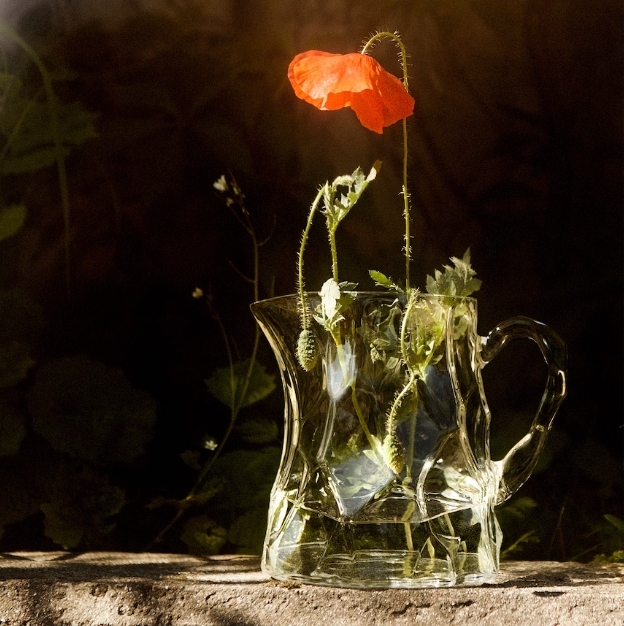 %EC%8A%A4%EC%B9%B8%EB%94%94%EB%82%98%EB%B9%84%EC%95%84 %EB%94%94%EC%9E%90%EC%9D%B8%EC%9D%98 %EC%A0%95%EC%88%98%EB%A5%BC %EC%9A%94%EC%95%BD%ED%95%98%EB%8A%94 %EC%9D%B4%EC%BC%80%EC%95%84X%EB%A7%88%EB%A6%AC%EB%A9%94%EA%BC%AC %EC%BB%AC%EB%A0%89%EC%85%98 12