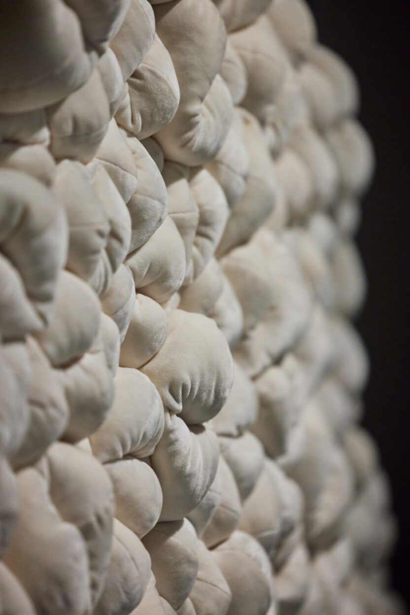 resize 21 %EB%B0%94%EC%9D%B4 %ED%8C%8C%EC%9A%B4%EB%93%9C%EB%A6%AC %EC%84%9C%EC%9A%B8 %EC%A0%84%EA%B2%BD %EC%9D%B4%EB%AF%B8%EC%A7%80 c %ED%8C%8C%EC%9A%B4%EB%93%9C%EB%A6%AC %EC%84%9C%EC%9A%B8 photo by %EB%85%B8%EA%B2%BD 1