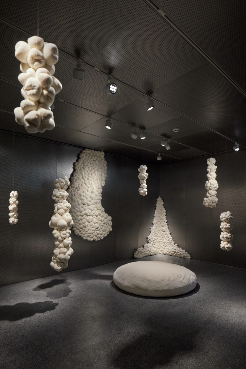 resize 20 %EB%B0%94%EC%9D%B4 %ED%8C%8C%EC%9A%B4%EB%93%9C%EB%A6%AC %EC%84%9C%EC%9A%B8 %EC%A0%84%EA%B2%BD %EC%9D%B4%EB%AF%B8%EC%A7%80 c %ED%8C%8C%EC%9A%B4%EB%93%9C%EB%A6%AC %EC%84%9C%EC%9A%B8 photo by %EB%85%B8%EA%B2%BD