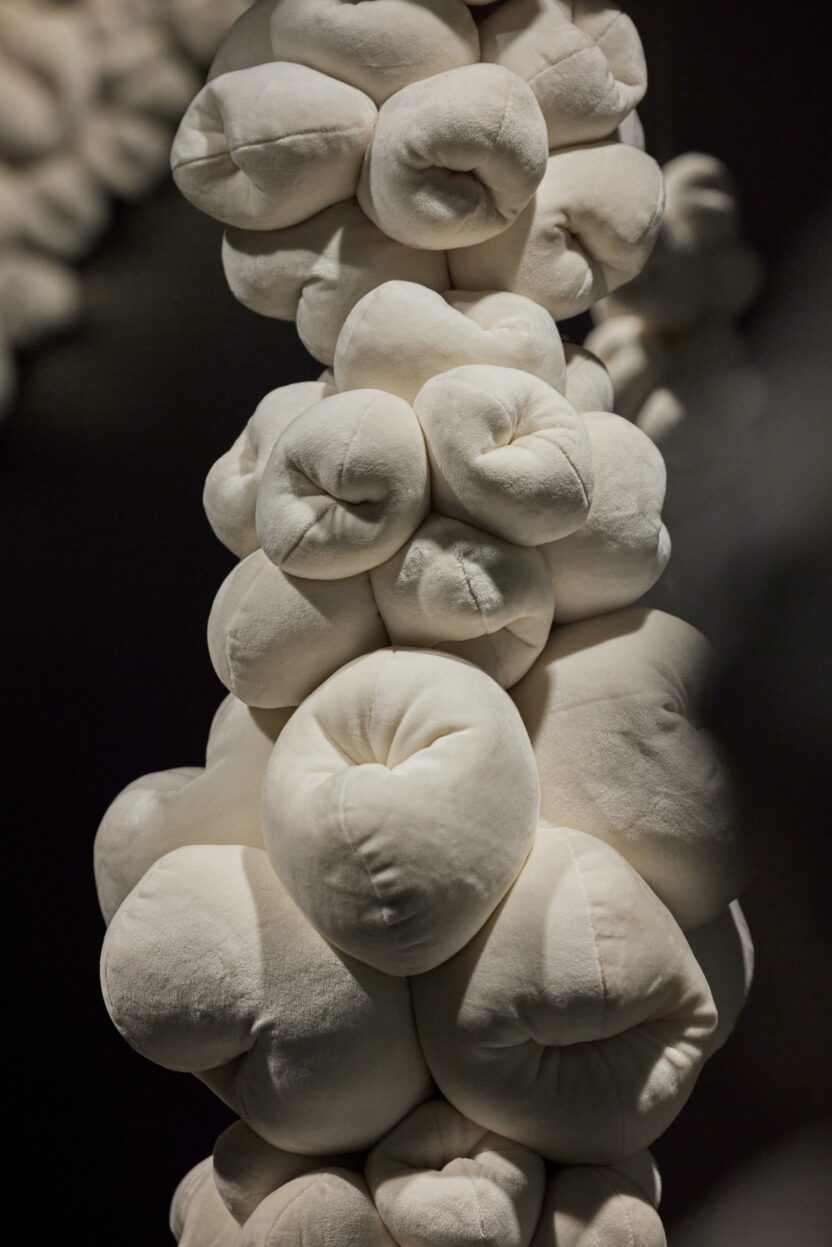 resize 25 %EB%B0%94%EC%9D%B4 %ED%8C%8C%EC%9A%B4%EB%93%9C%EB%A6%AC %EC%A0%84%EA%B2%BD%EC%9D%B4%EB%AF%B8%EC%A7%80 c %ED%8C%8C%EC%9A%B4%EB%93%9C%EB%A6%AC %EC%84%9C%EC%9A%B8 photo by %EB%85%B8%EA%B2%BD