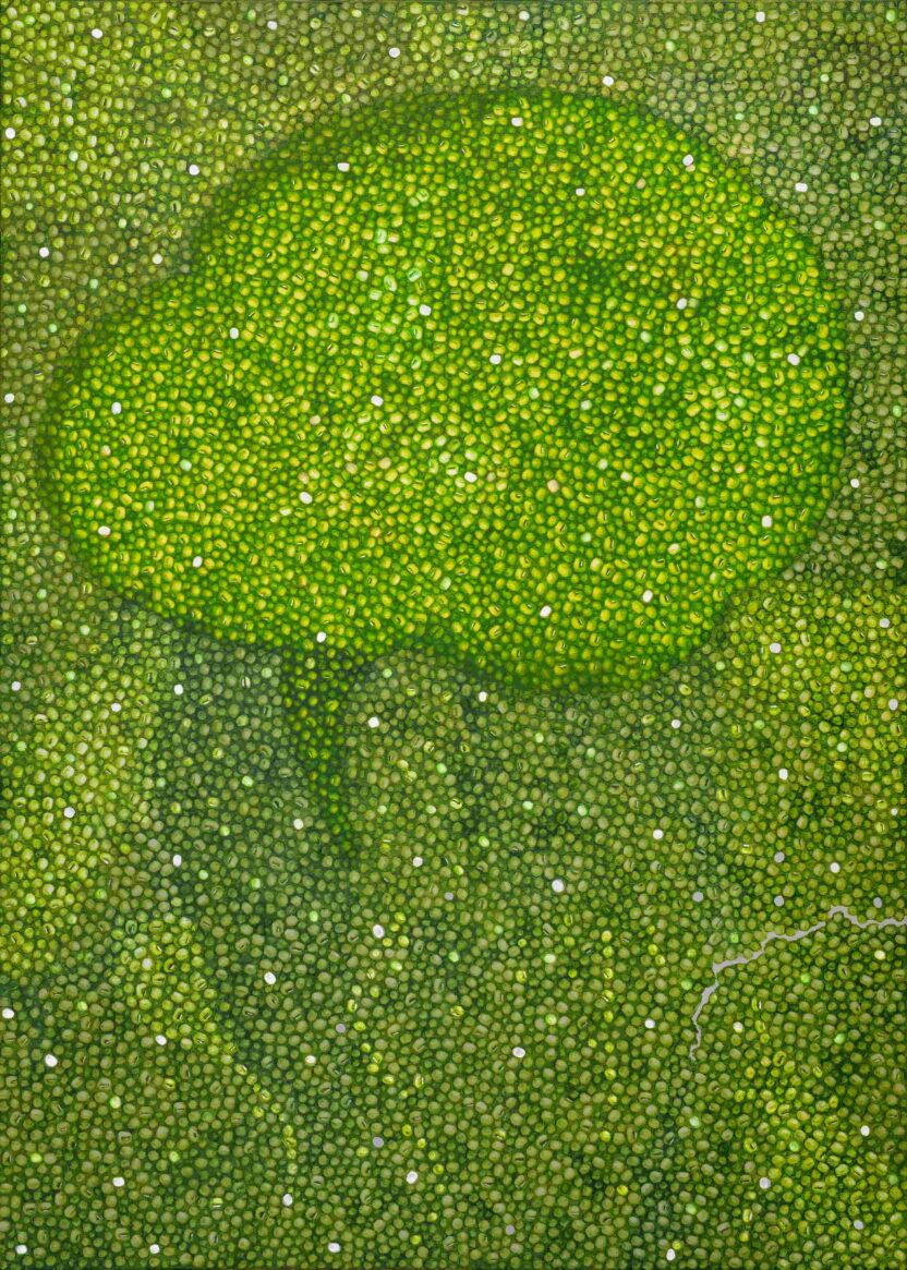 ArtBusan2024 %EA%B0%A4%EB%9F%AC%EB%A6%AC%EB%B0%88 %EC%A0%95%EC%A0%95%EC%97%BD %EC%9E%83%EC%96%B4%EB%B2%84%EB%A6%B0 %EB%A7%88%EC%9D%842 %EB%AC%B4%EB%93%B1%EC%9D%B4%EC%99%93 2023 Oil on canvas 91 x 65cm