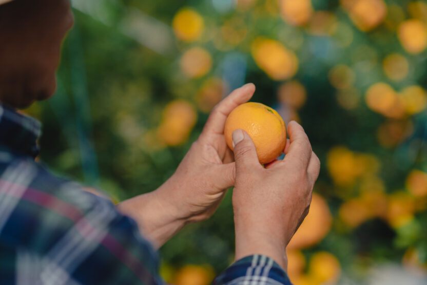 %EB%86%8D%EC%9E%A518