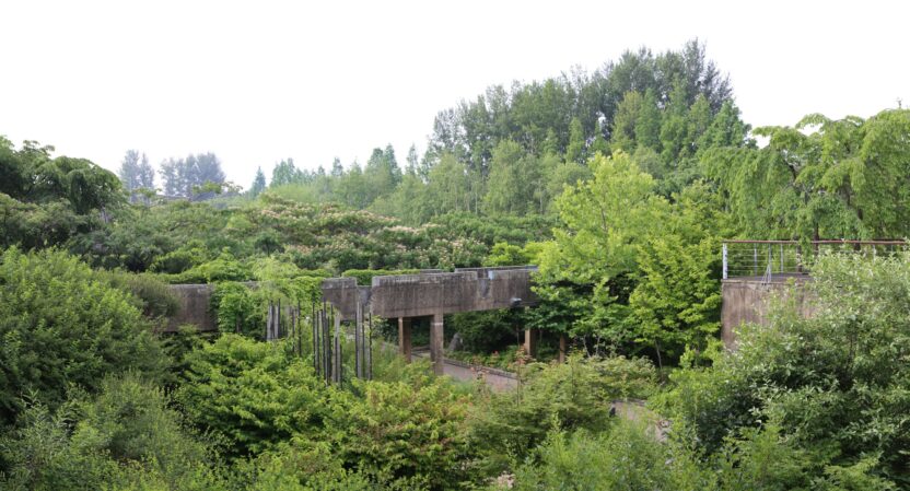 22 %EC%84%A0%EC%9C%A0%EB%8F%84%EA%B3%B5%EC%9B%90 %EC%8B%9C%EA%B0%84%EC%9D%98 %EC%A0%95%EC%9B%90%EC%9D%98 %EC%97%AC%EB%A6%84 2019. %EC%82%AC%EC%A7%84 %EC%9D%B4%EB%8F%99%ED%98%91