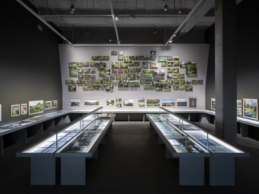 %EC%A0%95%EC%98%81%EC%84%A0 %EC%9D%B4%EB%95%85%EC%97%90 %EC%88%A8 %EC%89%AC%EB%8A%94 %EB%AA%A8%EB%93%A0 %EA%B2%83%EC%9D%84 %EC%9C%84%ED%95%98%EC%97%AC MMCA %EC%A0%84%EC%8B%9C%EC%A0%84%EA%B2%BD 04