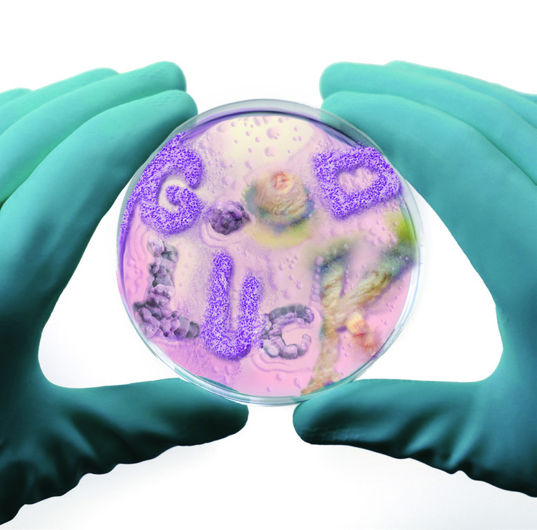 팬데믹에 대처하는 디자이너의 크리에이티비티 1 200525000000231 O