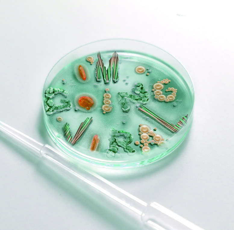 팬데믹에 대처하는 디자이너의 크리에이티비티 2 200525000000232 O