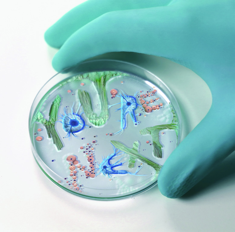 팬데믹에 대처하는 디자이너의 크리에이티비티 3 200525000000233 O