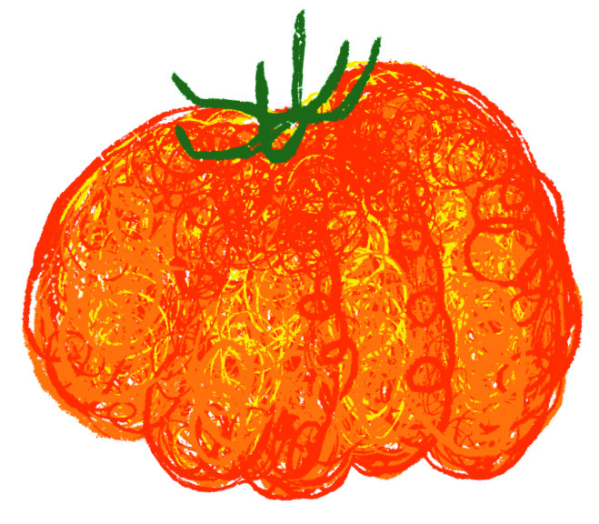 브랜드가 영근 토마토 밭 그래도팜 원승현 11 220426000000172 O