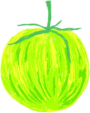 브랜드가 영근 토마토 밭 그래도팜 원승현 12 220426000000173 O