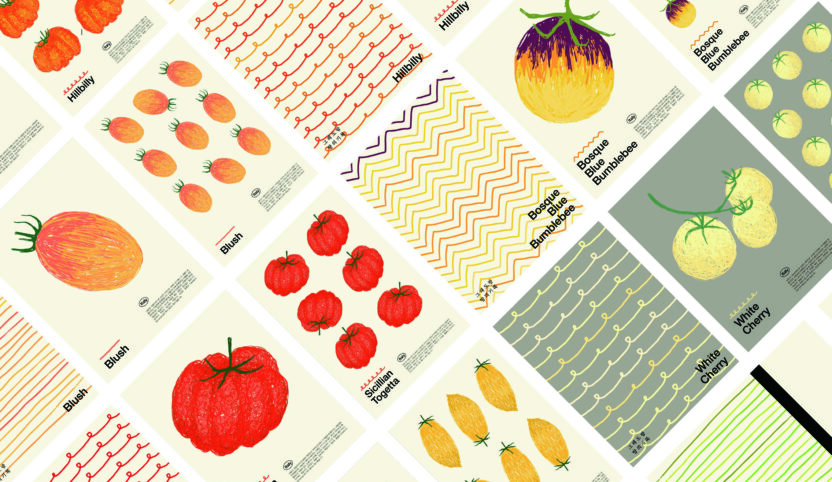 브랜드가 영근 토마토 밭 그래도팜 원승현 2 220426000000167 O