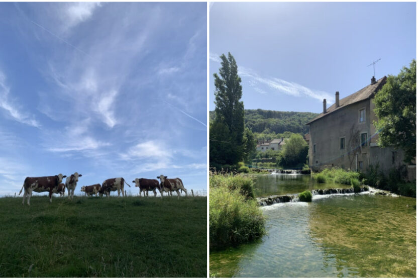 세라믹에 스민 물감의 잔흔, 이니세라믹 3 image 3