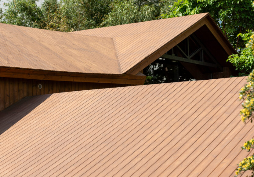 %EC%98%A8%EC%B2%9C%EC%9E%A5 %EC%95%BC%EC%99%B8 2