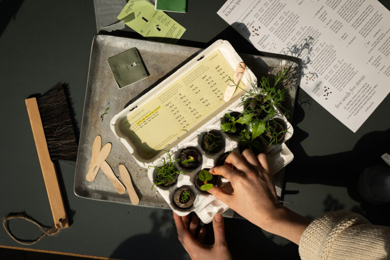 씨앗을 매개로 한 새로운 감각의 식물 경험, 씨드키퍼