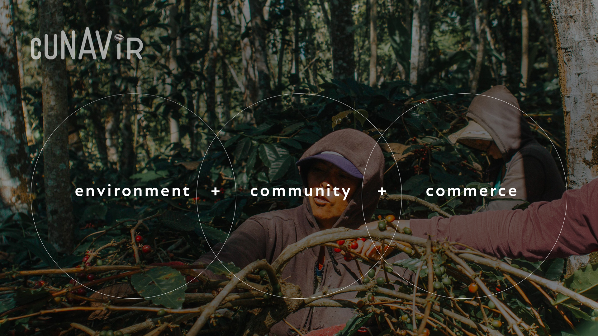 Peruvian Coffee Brand Project 02