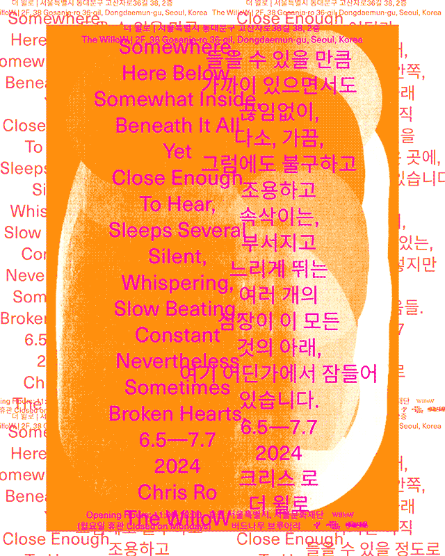 더 윌로의 첫 기획 전시, 크리스 로 개인전