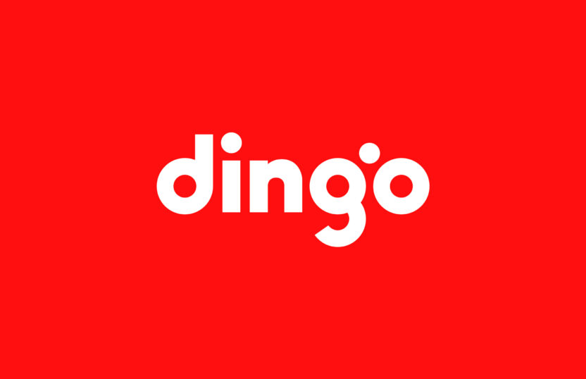 dingo 1