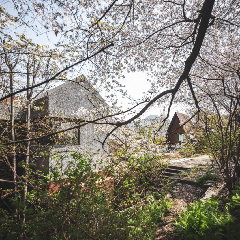 4.%EC%B5%9C%EC%9A%B1 %EC%B6%95%EB%8C%80%EA%B0%80 %EC%9E%88%EB%8A%94 %EC%A7%91 2006 2022 %EC%9E%A5%EB%AF%B8 %EC%82%AC%EC%A7%84