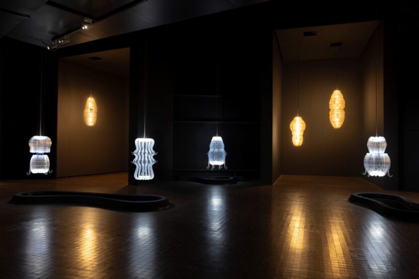 %EC%A0%84%EC%8B%9C%EC%A0%84%EA%B2%BD 3 %EC%95%84%EB%8B%88%EC%B9%B4%EC%9D%B4 %EC%82%AC%EC%A7%84 %EC%95%88%EB%93%9C%EB%A0%88%EC%95%84 %EB%A1%9C%EC%84%B8%ED%8B%B0