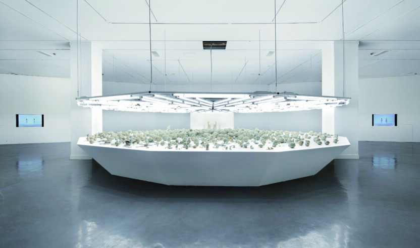 국립현대미술관 17 140116000003049 O