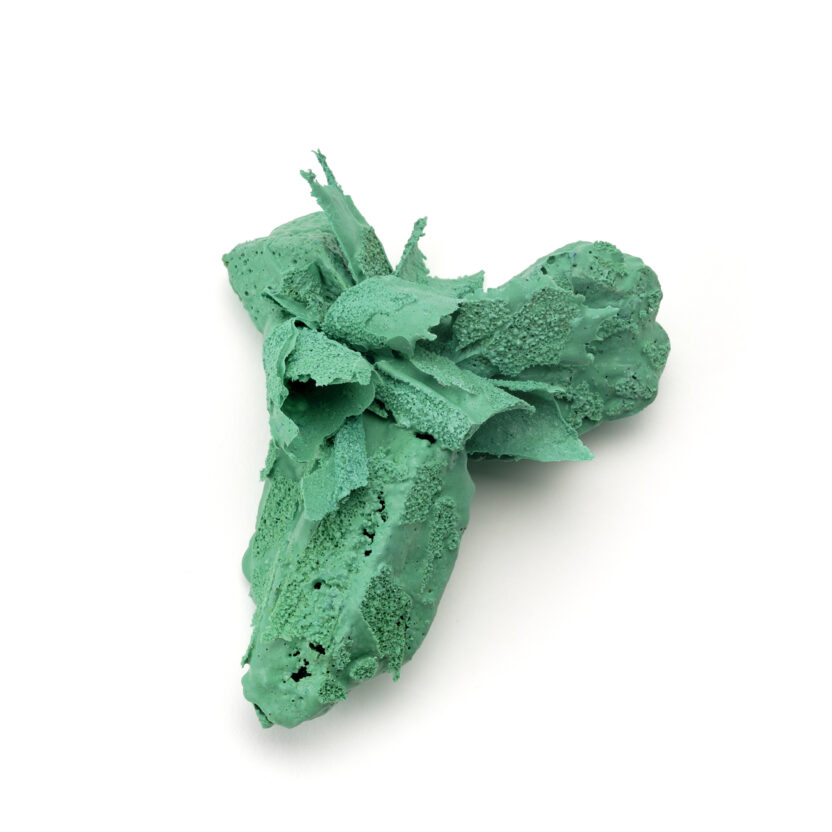 %EC%9D%B4%EC%84%A0%EC%9A%A9 %EC%A7%84%ED%99%94%EB%90%9C %ED%97%88%EB%AC%BC %EB%B3%B5%EC%82%AC