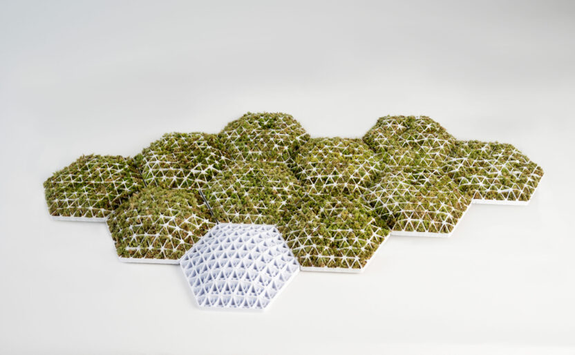 Mosscape%EC%93%B0%EB%A6%AC%EB%94%94%EB%A9%94%EC%9D%B4%EC%BB%A4%EC%8A%A4%EC%A0%9C%EC%A1%B0%EA%B8%B0%EC%97%85%EC%8A%A4%ED%86%A1%EC%8A%AC%EB%94%94%EC%9E%90%EC%9D%B4%EB%84%88