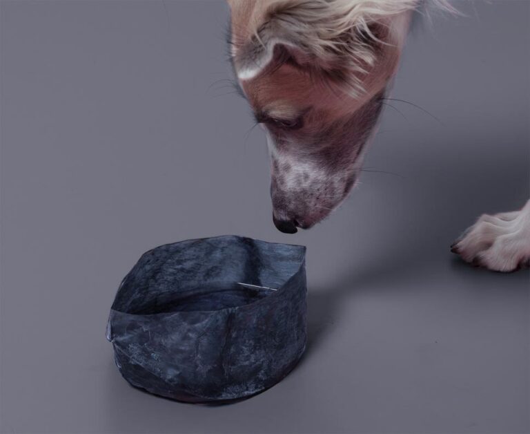 100개의 오브제로 만나보는 오스트리아 디자인 솔루션