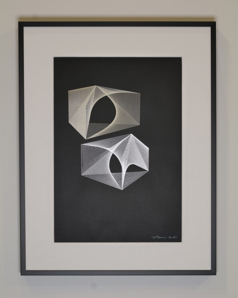 resize Entanglement Projection 04B