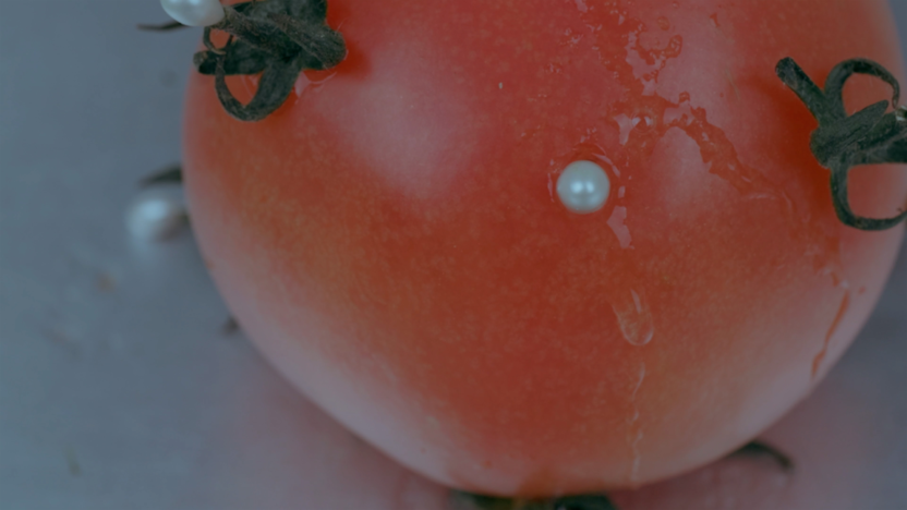 토마토 살인사건