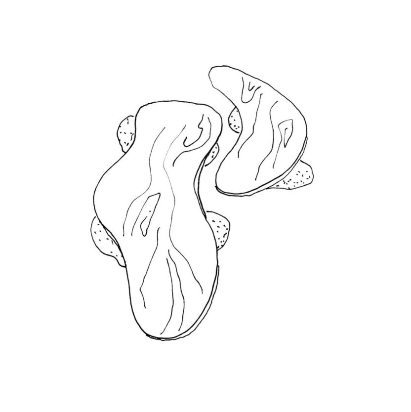 자연과 기하학이 공명하는 오브제, G Collection 3 20251006 121237 832x834 1