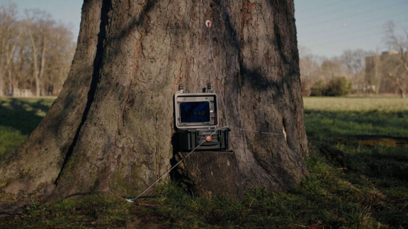 20260508022656 talkingtree frame6