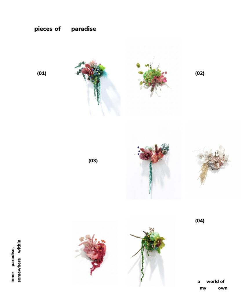 남규리 ｜KOiLY